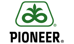 Pioneer